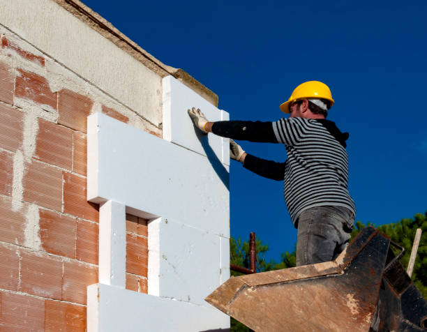 Best Insulation Maintenance and Repair in Seabrook, SC