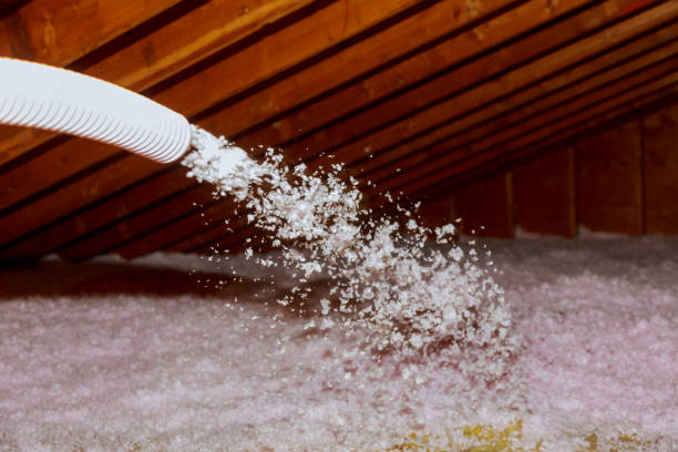 Types of Insulation We Offer in Seabrook, SC