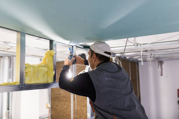 Best Fiberglass Insulation in Seabrook, SC