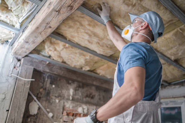 Best Specialized Insulation Services in Seabrook, SC