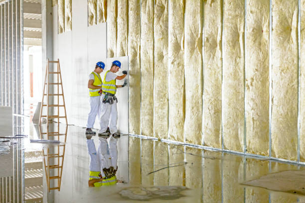 Professional Insulation Contractor in Seabrook, SC